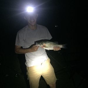 Meet your Posher, Devan